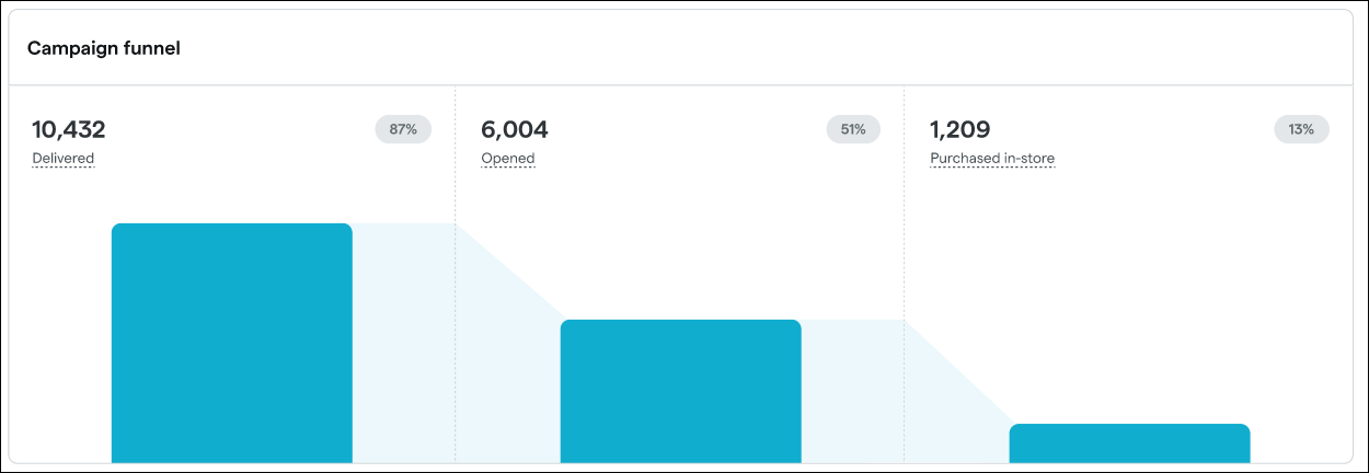 Campaign funnel statistics: delivered, opened, purchased.