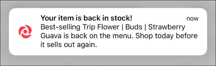 ecomm_push notification back in stock.png