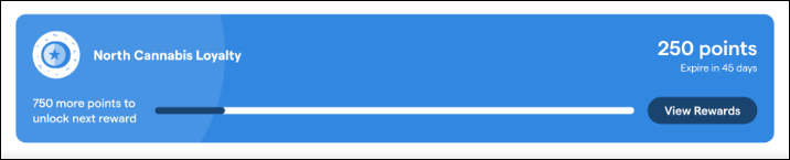 ecomm_loyalty widget_no tiers_discount redemption.png