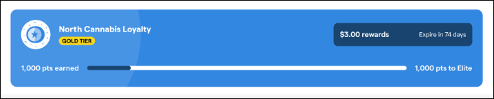 ecomm_loyalty widget_tiers_total spend_discount redemption.png