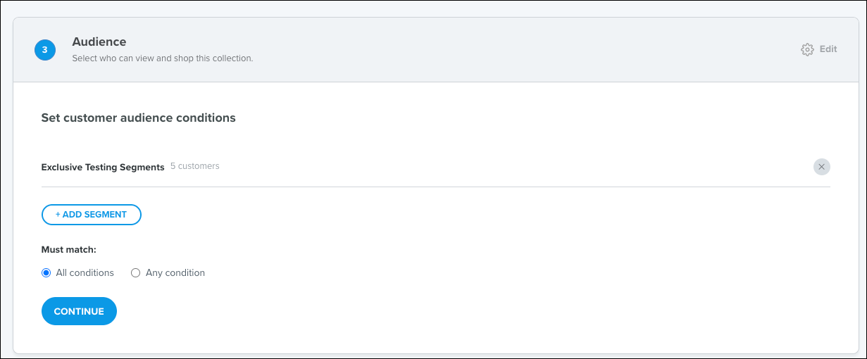 Audience settings for customer segment conditions